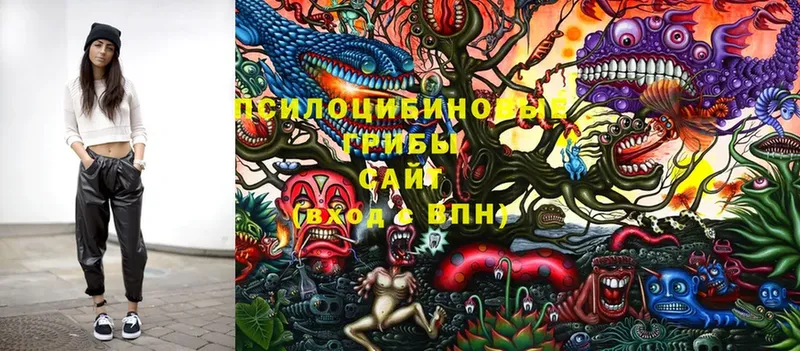 Галлюциногенные грибы MAGIC MUSHROOMS  Ясногорск 